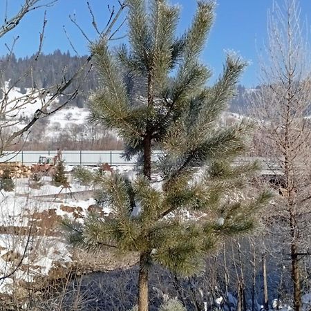 Затишний Будиночок Bukovets Dış mekan fotoğraf