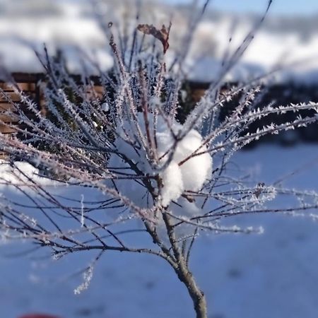 Затишний Будиночок Bukovets Dış mekan fotoğraf