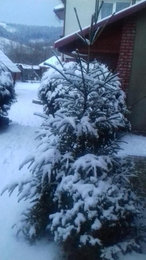 Затишний Будиночок Bukovets Dış mekan fotoğraf