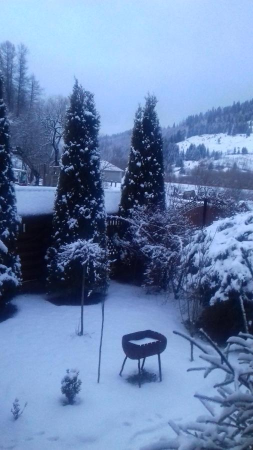Затишний Будиночок Bukovets Dış mekan fotoğraf